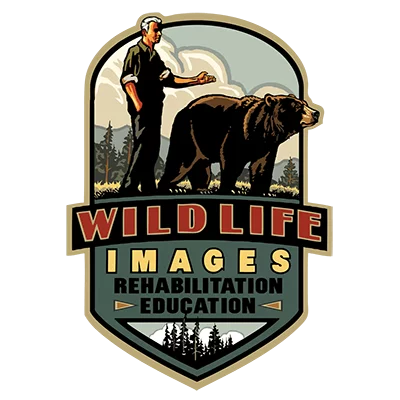Wildlife Images